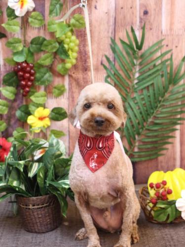 20230809くぅくん